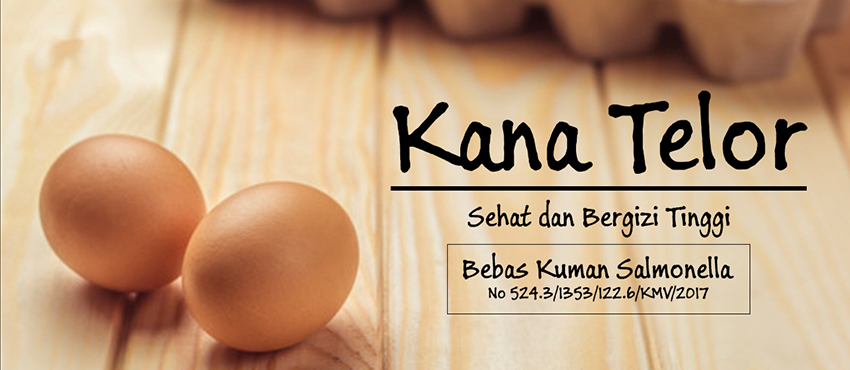 telur sehat