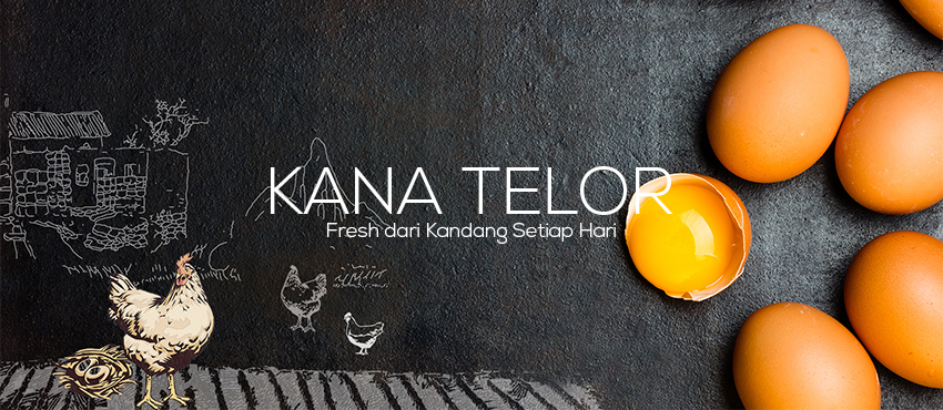 kandang telur