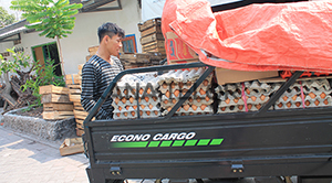 pengiriman kana telur