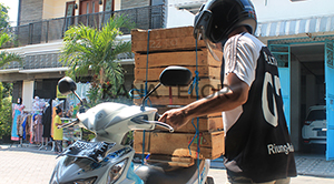 kirim telur