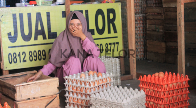 Agen Telur